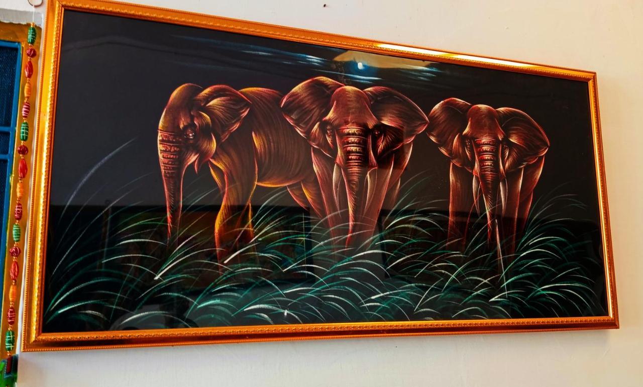 Veera'S Hostel Pushkar Zewnętrze zdjęcie