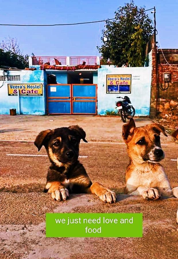 Veera'S Hostel Pushkar Zewnętrze zdjęcie